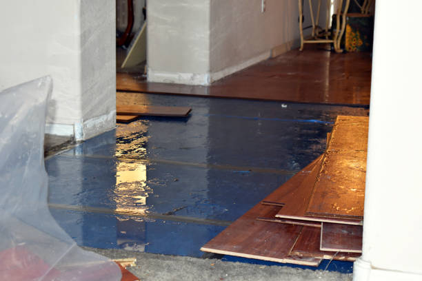 Professional Emergency Water Damage Restoration technician working in Dillonvale, OH